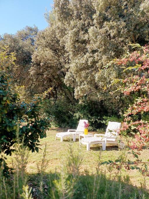 Studio Avec Jardin Entre Aix-En-Provence, Luberon Et Verdon Peyrolles-en-Provence Eksteriør bilde